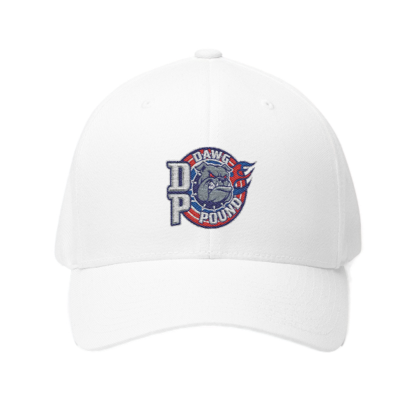 Detroit Dawg Pound FlexFit Fitted Hat - Originals v3